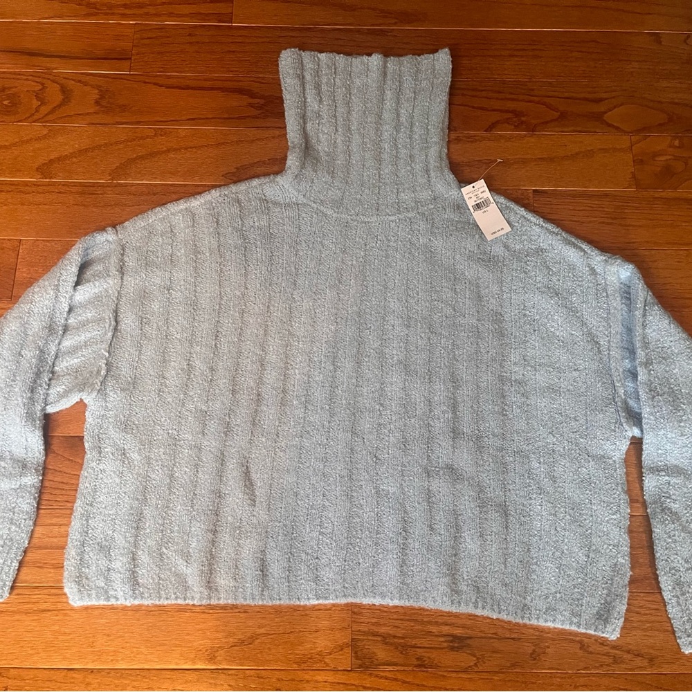 American Eagle Outfitters Light Blue Turtleneck Sweater